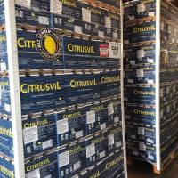 Argentina exportó el primer cargamento de limones a Brasil