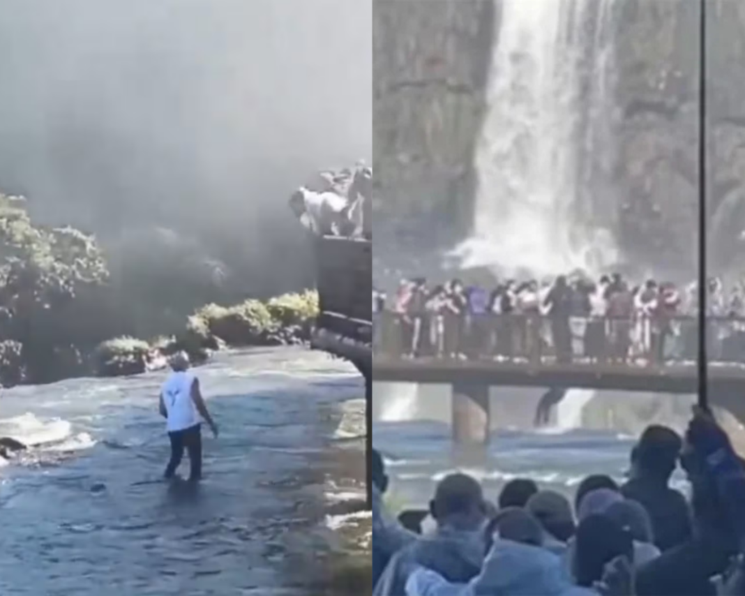 cataratas celular
